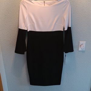Calvin Klein bell sleeve black and white dress